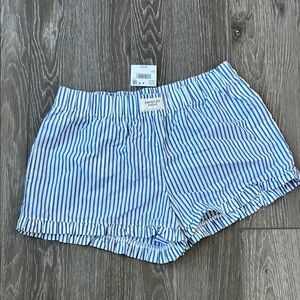 American Eagle Outfitters Navy and White Striped Shorts